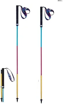 Leki Micro Trail Vario