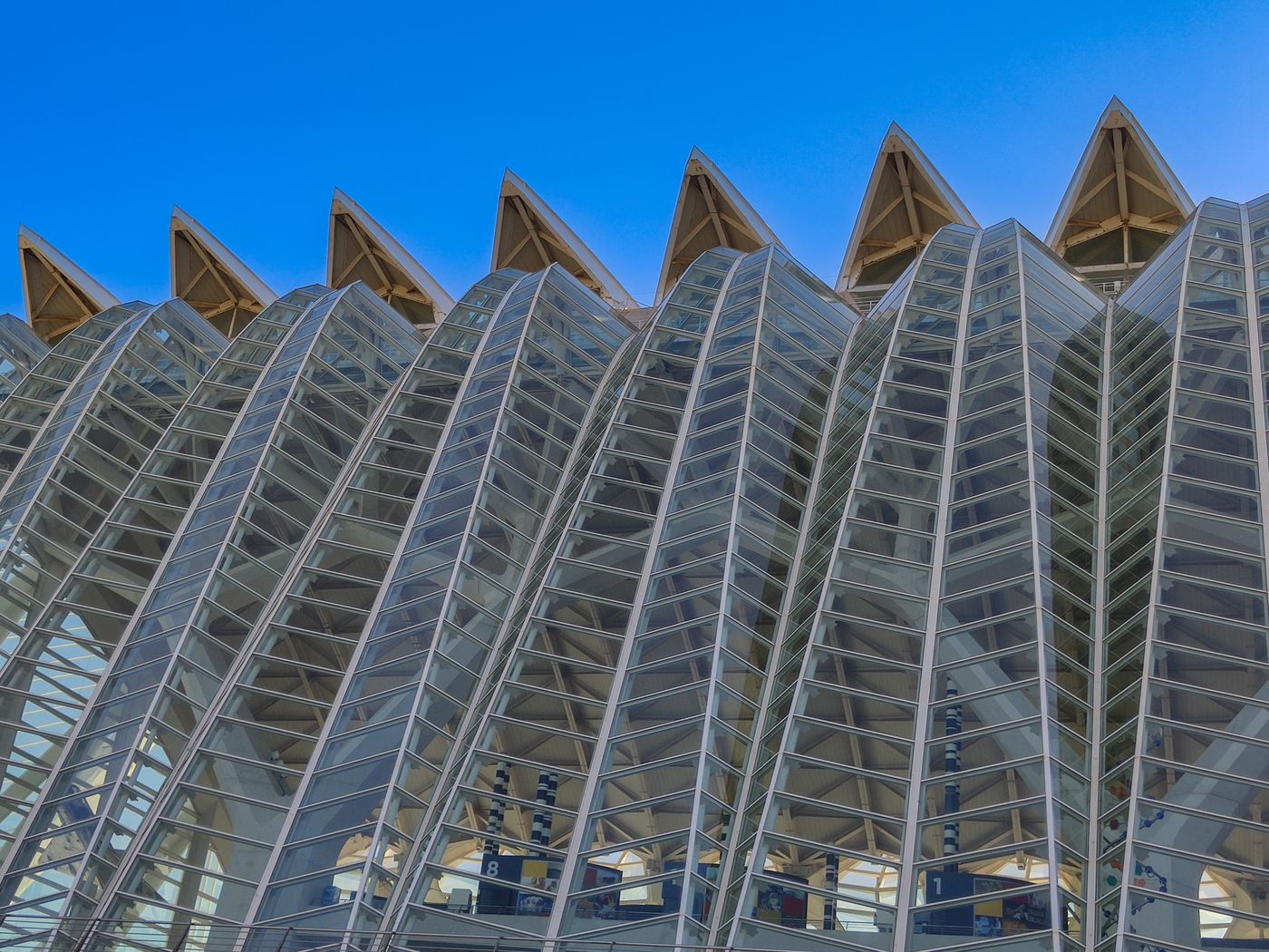 La Ciudad de las Artes y las Ciencias de Valencia, junto a la meta de la Media Maratón