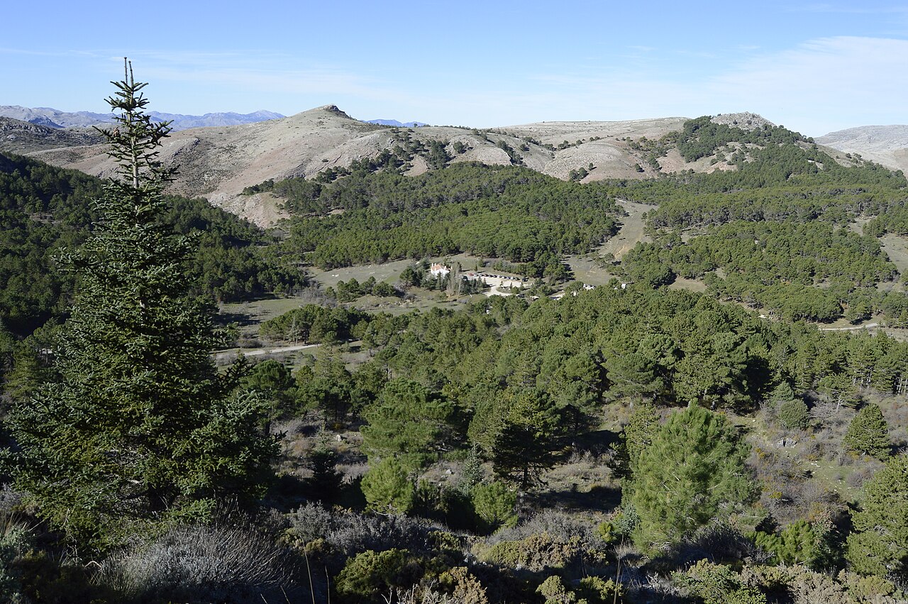 Sierra de las Nieves National Park in Málaga, crossed by the 101 km route