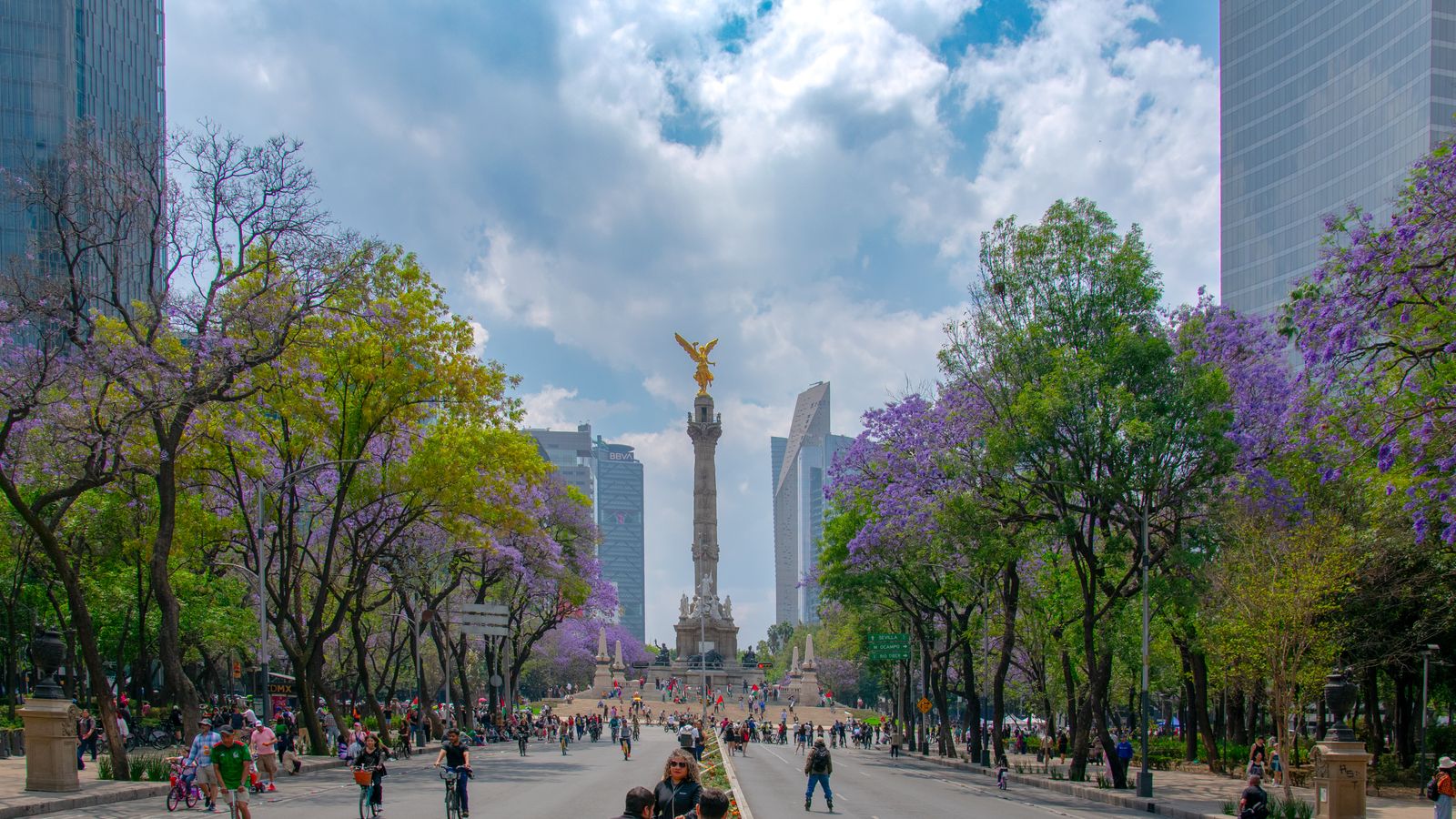 Paseo de la Reforma con el Ángel de la Independencia al fondo y jacarandas en flor, meta del Medio Maratón de la Ciudad de México