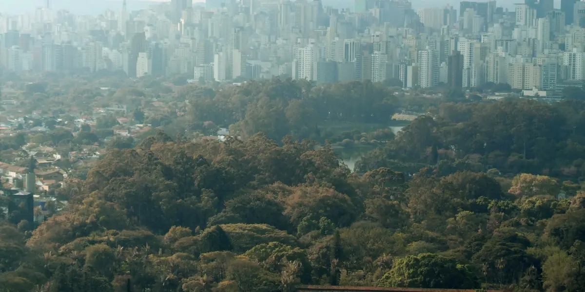 Vista de Sao Paulo