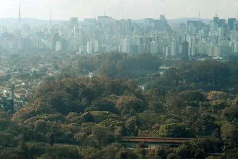 Vista de Sao Paulo