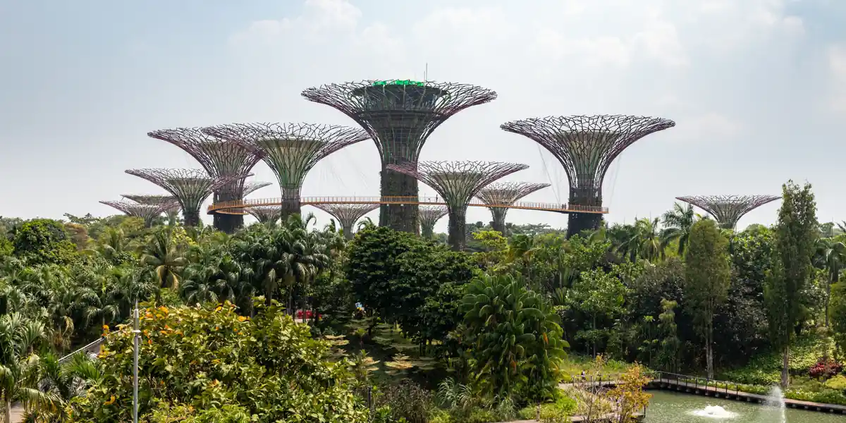 El Supertree Grove de Gardens by the Bay, en Singapur