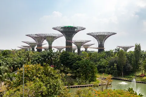 El Supertree Grove de Gardens by the Bay, en Singapur