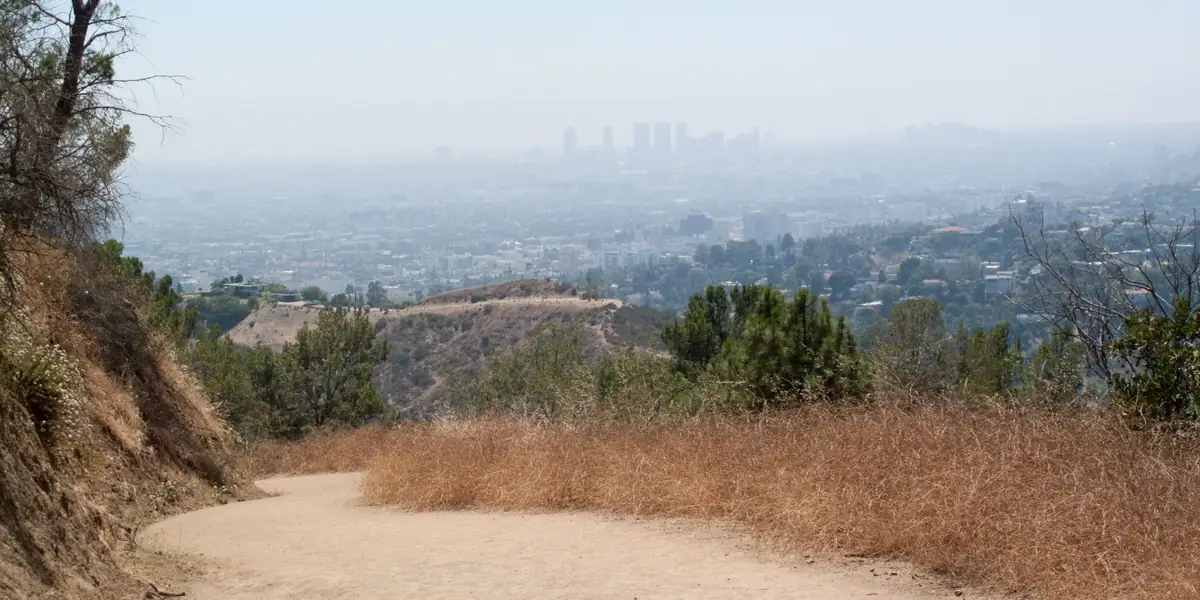 Sendero de tierra en Griffith Park con Los Ángeles al fondo