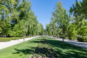 Paseo arbolado del Parque del Retiro, en Madrid