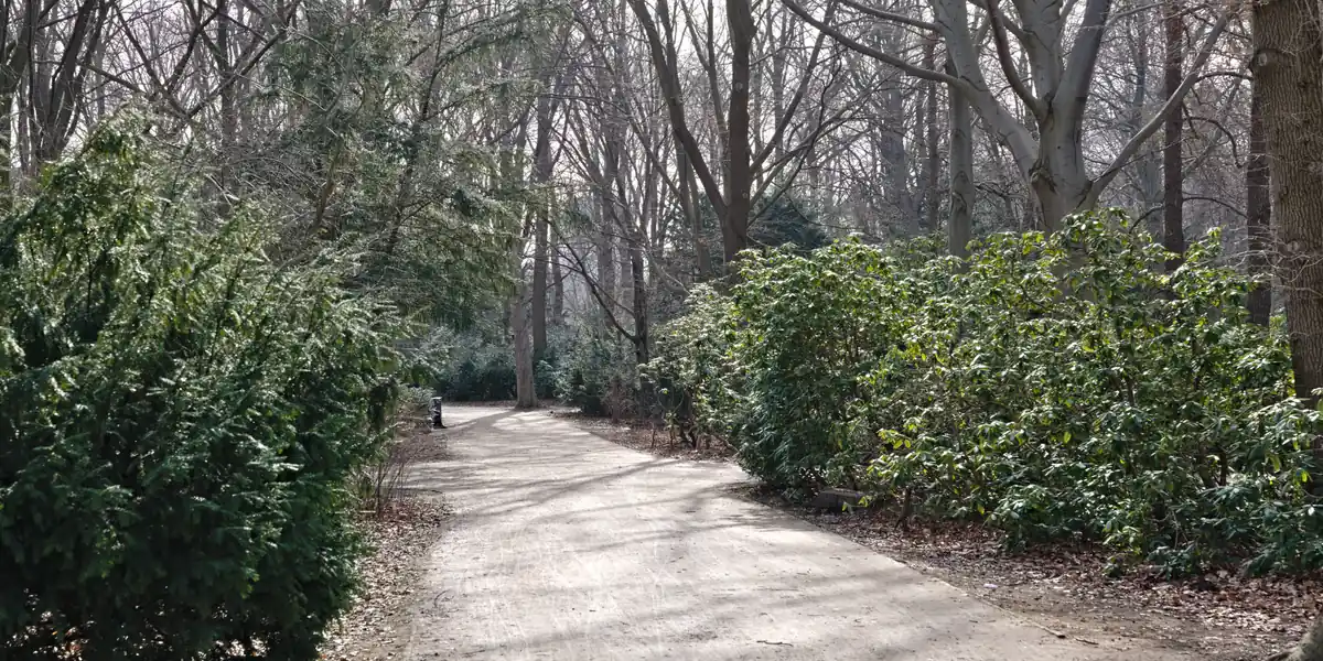 Sendero entre el arbolado del Großer Tiergarten, en Berlín