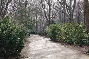 Sendero entre el arbolado del Großer Tiergarten, en Berlín