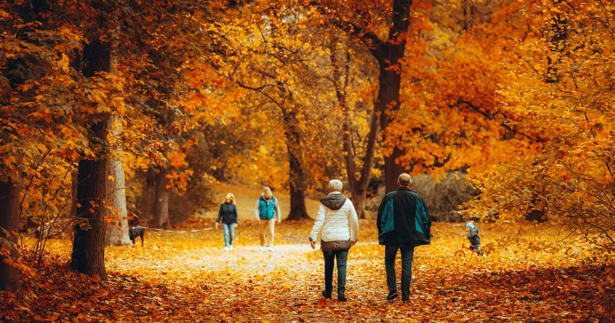 Andar vs Correr: Qué Es Mejor para tu Salud