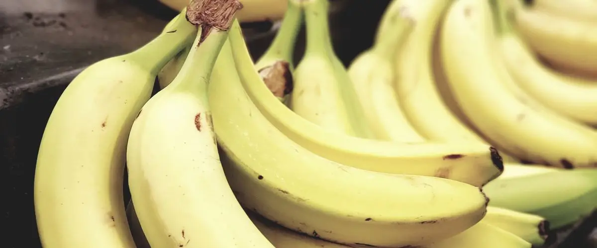 Dieta Vegetariana para Runners