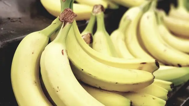 Dieta Vegetariana para Runners