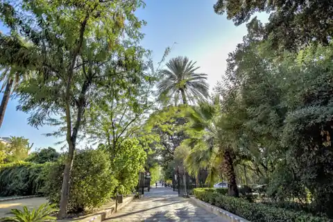 Imagen ambiental: paseo arbolado con palmeras en un parque de Sevilla