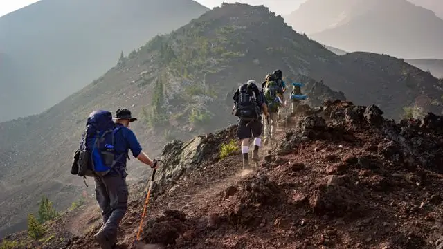 Bastones de Trail Running