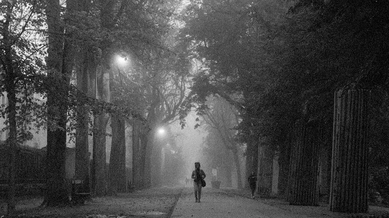 Persona caminando sola por un sendero del parque entre arboles