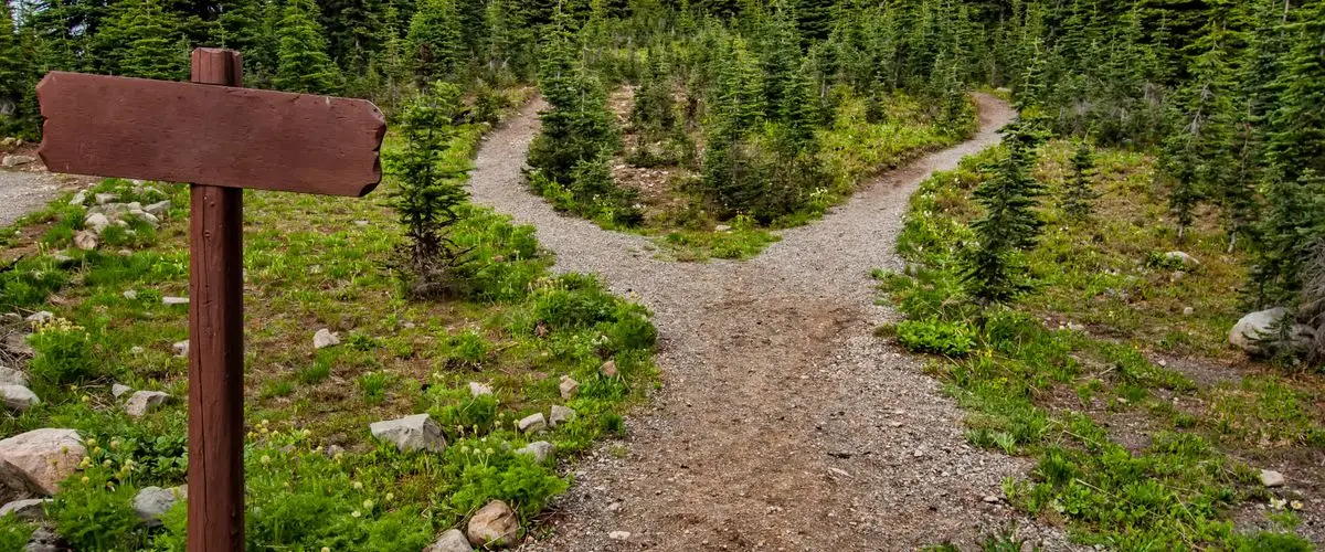 Nutrición para Trail Running: Guía de Alimentación en Montaña