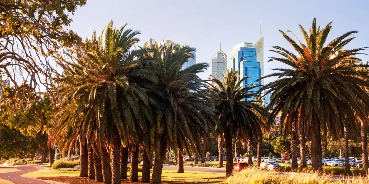 Imagen ambiental: parque con palmeras y el perfil urbano de Perth al fondo