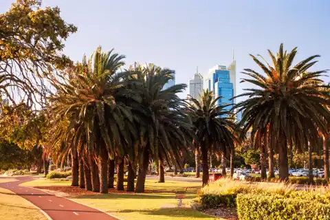 Imagen ambiental: parque con palmeras y el perfil urbano de Perth al fondo