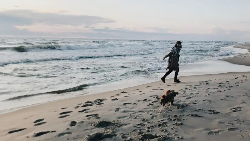 Persona corriendo en la playa al atardecer
