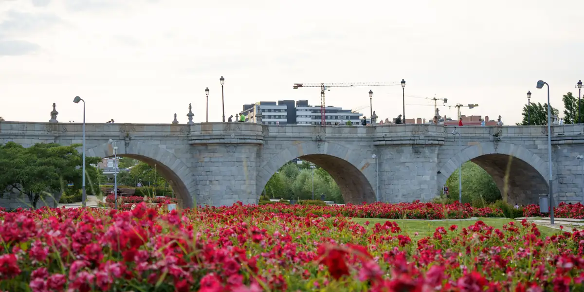El Puente de Toledo sobre el Manzanares, en el parque de Madrid Río, con flores en primer plano