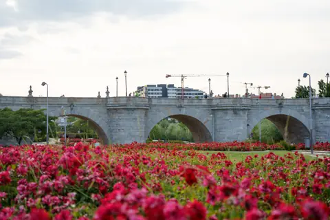El Puente de Toledo sobre el Manzanares, en el parque de Madrid R&iacute;o, con flores en primer plano