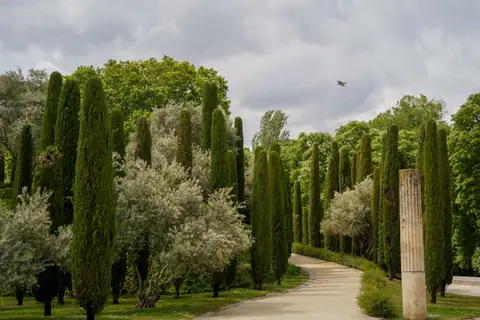 Imagen ambiental: camino arbolado con cipreses en un parque de Madrid