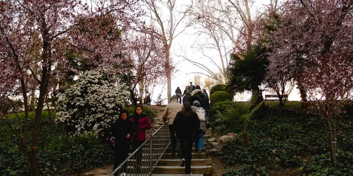 Imagen ambiental: escalinata entre &aacute;rboles en flor en un parque de Madrid