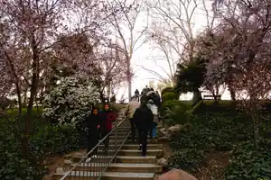 Imagen ambiental: escalinata entre &aacute;rboles en flor en un parque de Madrid
