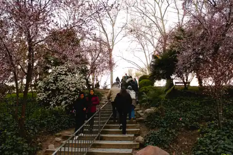 Imagen ambiental: escalinata entre &aacute;rboles en flor en un parque de Madrid