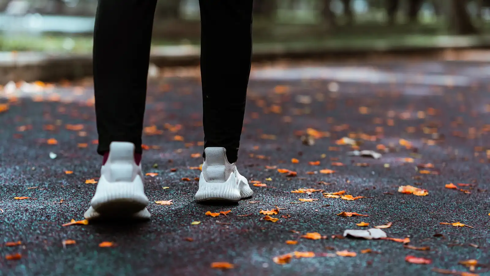 Zapatillas de running blancas sobre un camino cubierto de hojas secas
